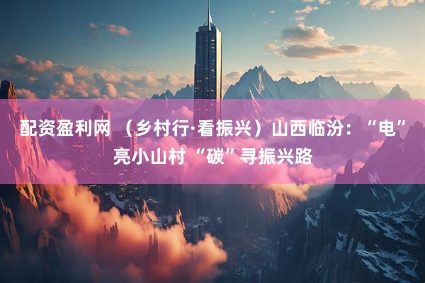 配资盈利网 （乡村行·看振兴）山西临汾：“电”亮小山村 “碳”寻振兴路